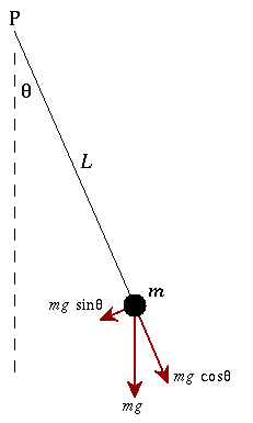 Oscillation of a Simple Pendulum