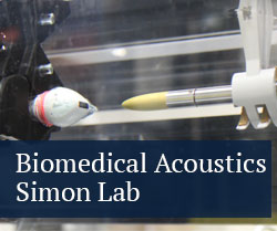 Biomedical Acoustics Simon Lab
