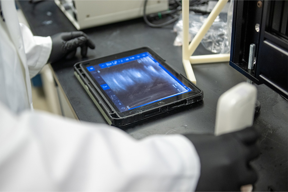 Two gloved hands on either side of a small, iPad-size screen that shows an ultrasound image
