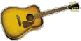 icon image of acoustic guitar